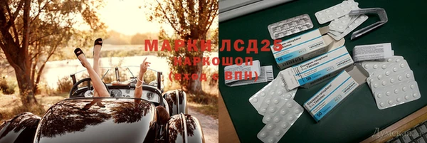 дживик Осташков