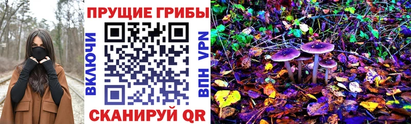 сколько стоит  Жуковка  Галлюциногенные грибы мицелий 